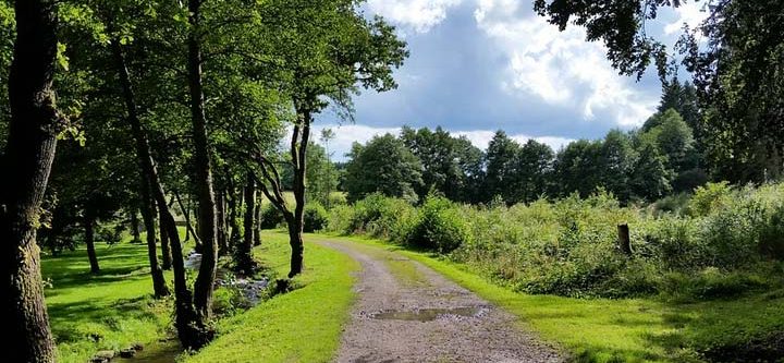 wandelen in de ardennen